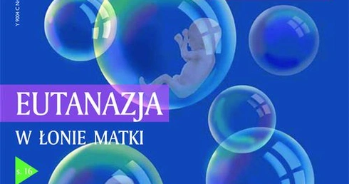 Lekkie słowa, ciężkie przypadki