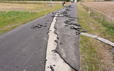 Każdy orze, jak może ...