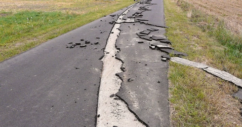 Każdy orze, jak może ...
