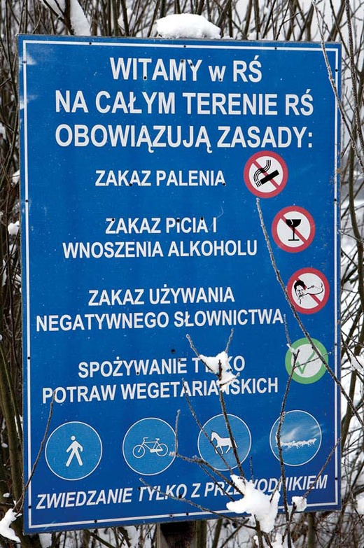 U biegnącego wilka