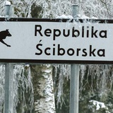 U biegnącego wilka