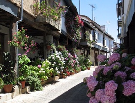 "To nie jest kraj dla kobiet"