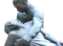 XV Niedziela Zwykła