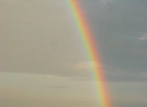 Wierność Przymierzu