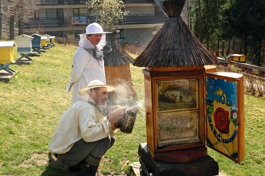 Pasieka „Barć” w Kamiannej