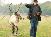 Rudolf - brązowonosy