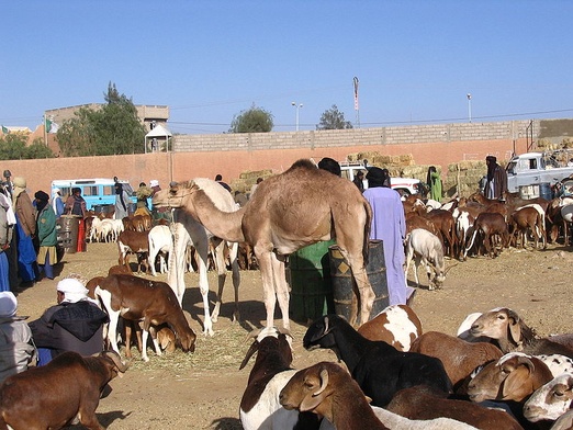 Zamach na Saharze