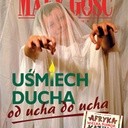 MGN 11/2008