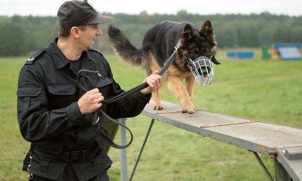 Czworonożni policjanci