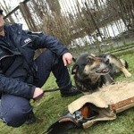 Psy policyjne i ich przewodnik z Komisariatu we Wronkach