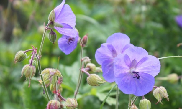 Ja, Kościół w Tiatyrze