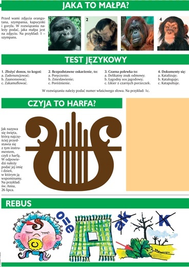 Mózgołamacze
