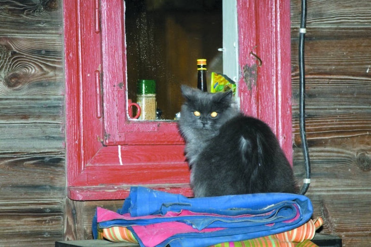 Pogoda dla biedaków