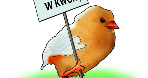 Wiara w niewiarę