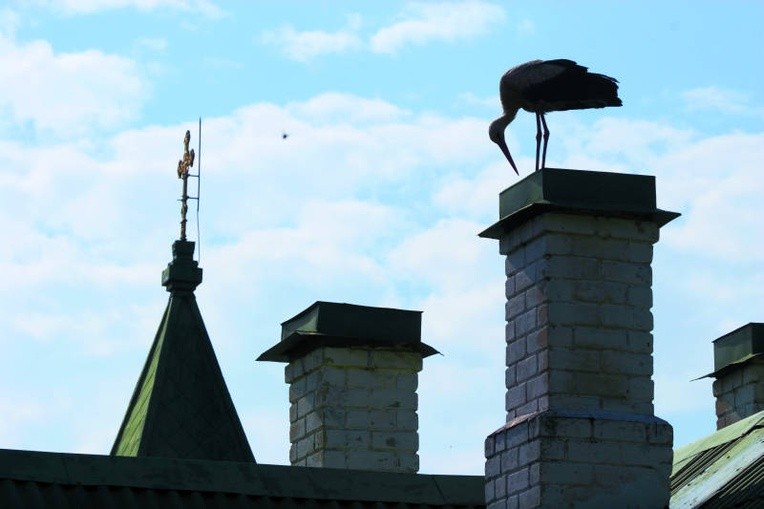 Bóg to jest porządek