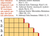 Mózgołamacze