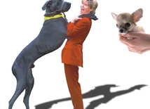 Pies w rozmiarach od S do XXL