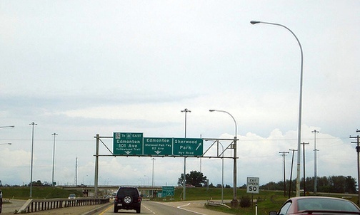 Pleśń stworzyła mapę autostrad