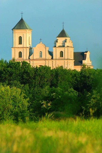 Maryja pachnąca różami