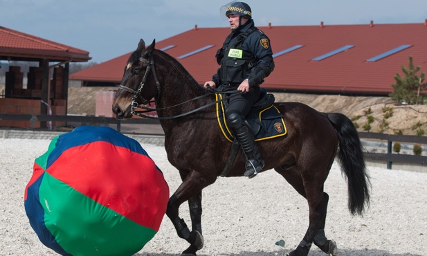 Trening konnej sekcji strażników