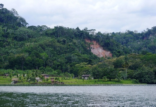 Gringi w Amazonii