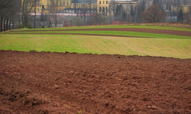 Barokowy  zawrót głowy