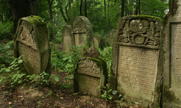 Kalisz: Na tropie żydowskich macew