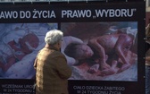 Wystawa antyaborcyjna "Wybierz życie" w Bydgoszczy