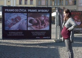 Bydgoszcz: Antyaborcyjna wystawa wróciła