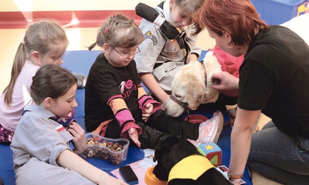 W dużych dłoniach doktora