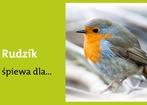 4 maja 2012