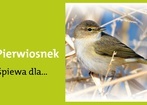 7 maja 2012