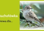 8 maja 2012