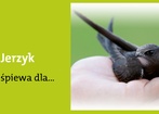 10 maja 2012