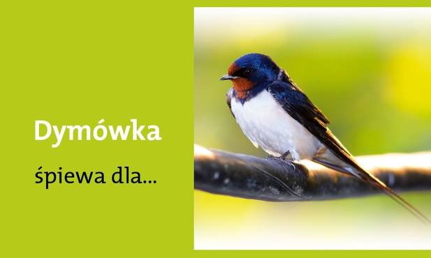 Panny łaskawej