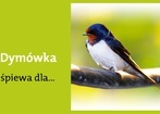 11 maja 2012
