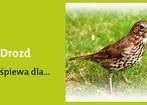 14 maja 2012