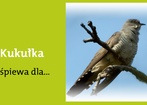 16 maja 2012
