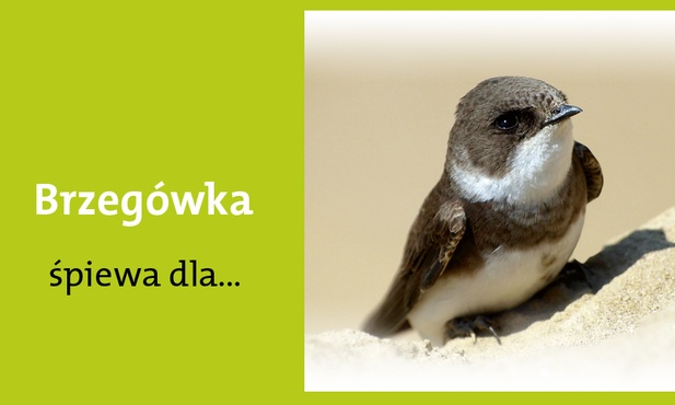 Pocieszycielki strapionych