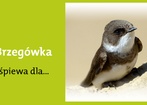 19 maja 2012