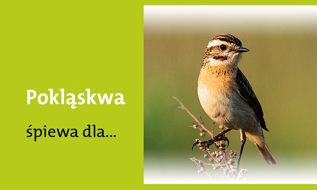 Królowej Apostołów