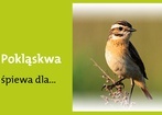 22 maja 2012