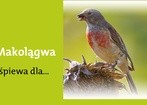 28 maja 2012