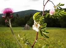 Góry znowu są górami