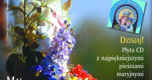 Nabożeństwo majowe w samochodzie