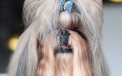Styl à la Chewbacca