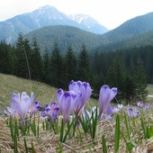 Groźne majówki w górach