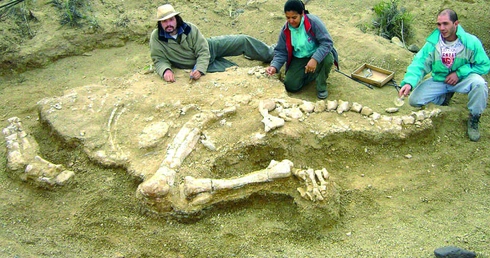 Znaleźli dinozaura
