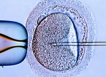 "Nie" dla klonowania