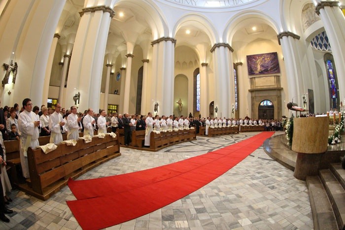 Święcenia kapłańskie w katedrze